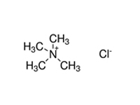 <em>四</em>甲基氯化銨，AR，99%